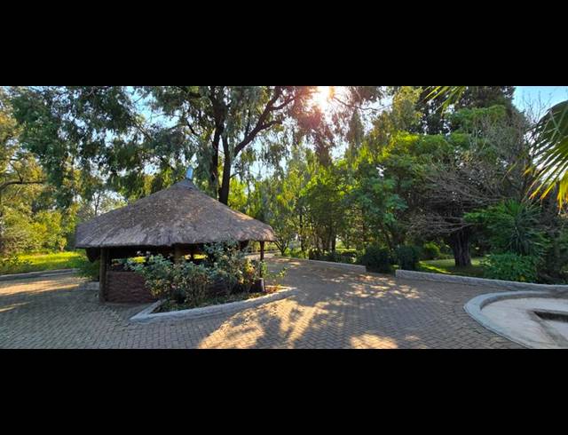 FARM FOR SALE IN WALKERVILLE CENTRAL